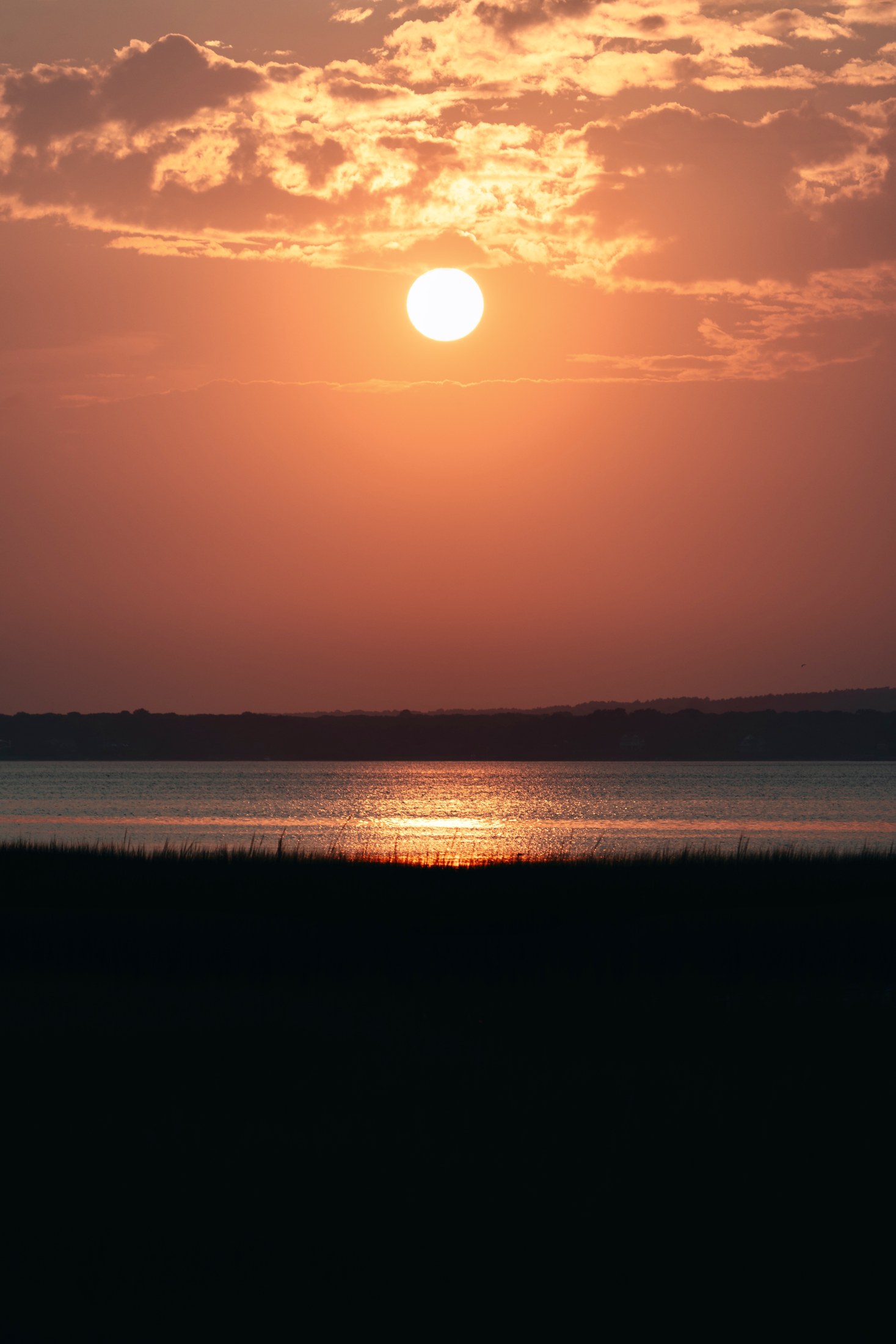Photograph 106 by Goldenberg Photos