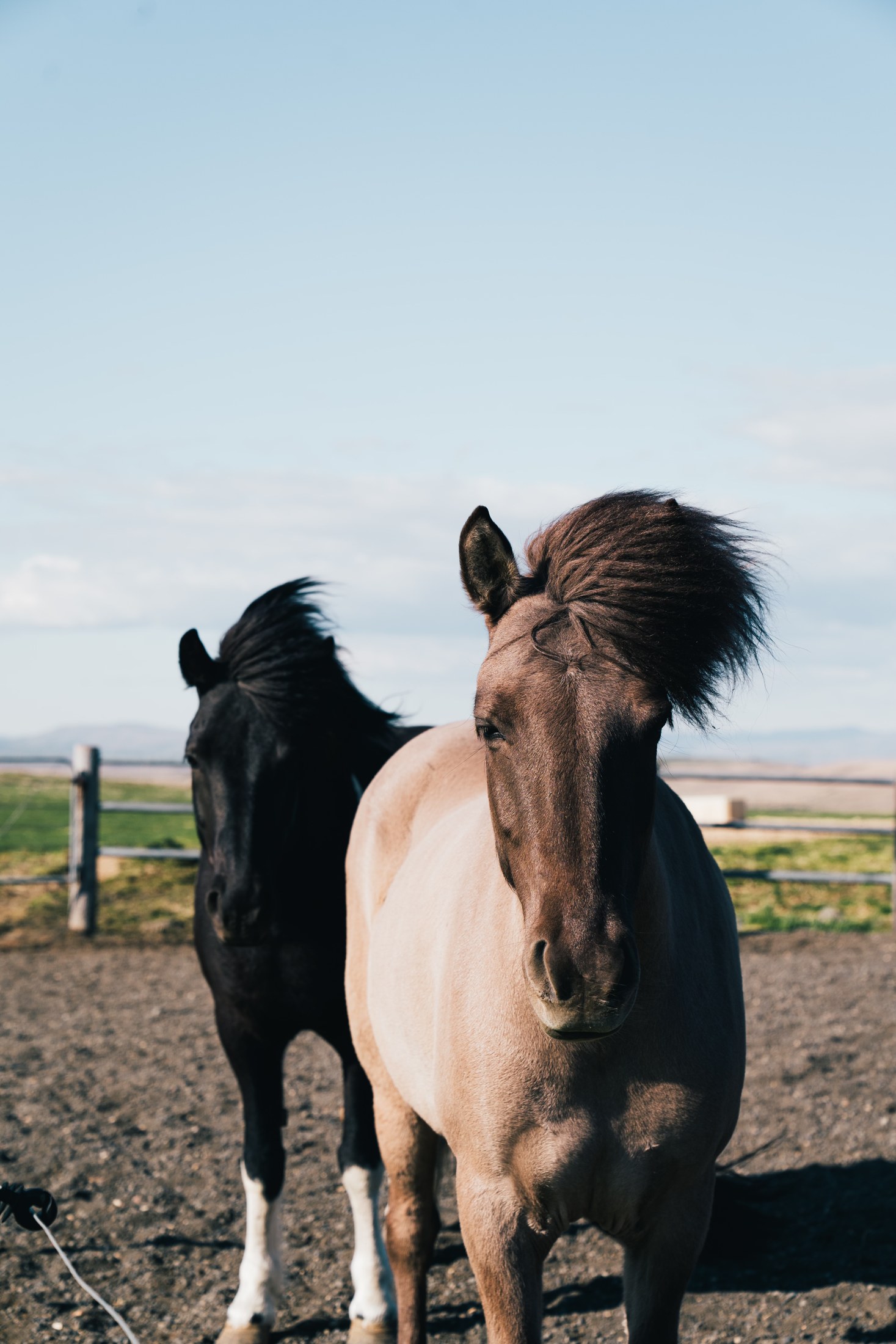 Photograph 46 by Goldenberg Photos