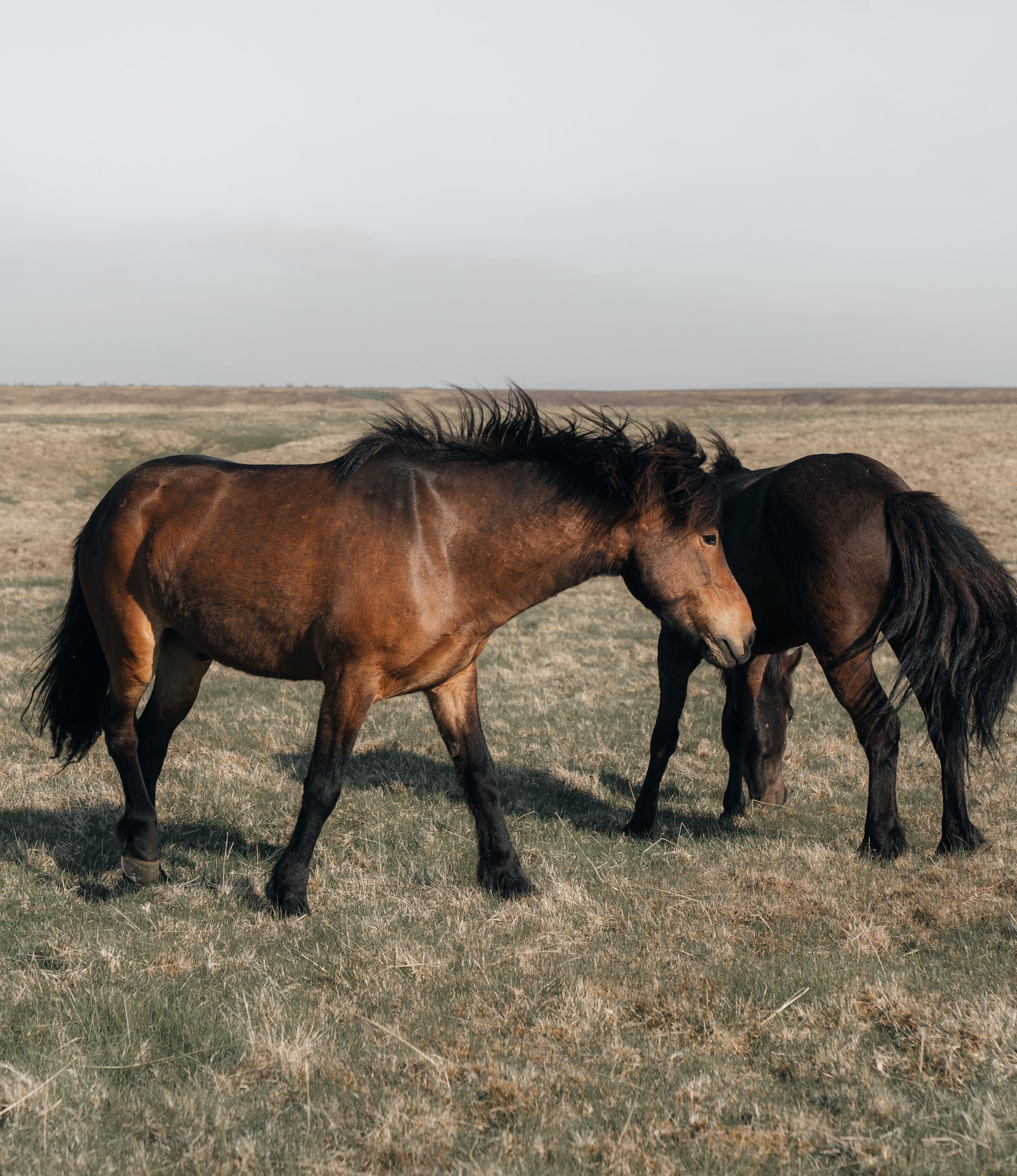 Photograph 51 by Goldenberg Photos