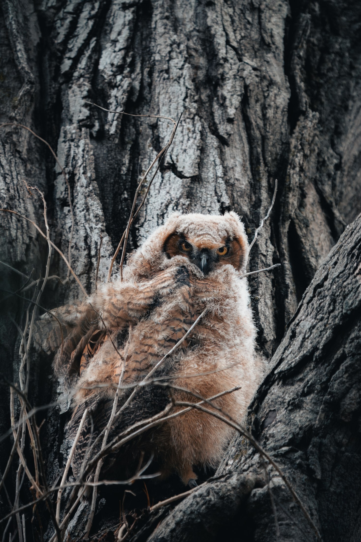 Photograph 60 by Goldenberg Photos