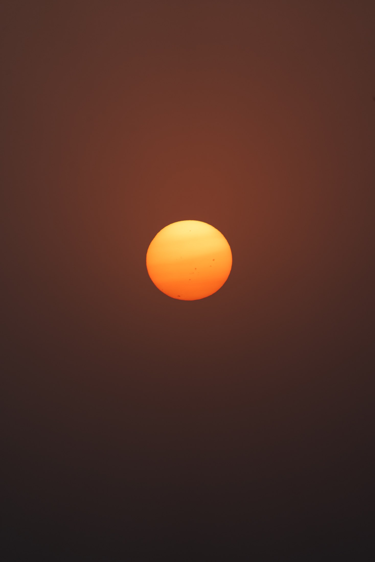 Photograph 61 by Goldenberg Photos