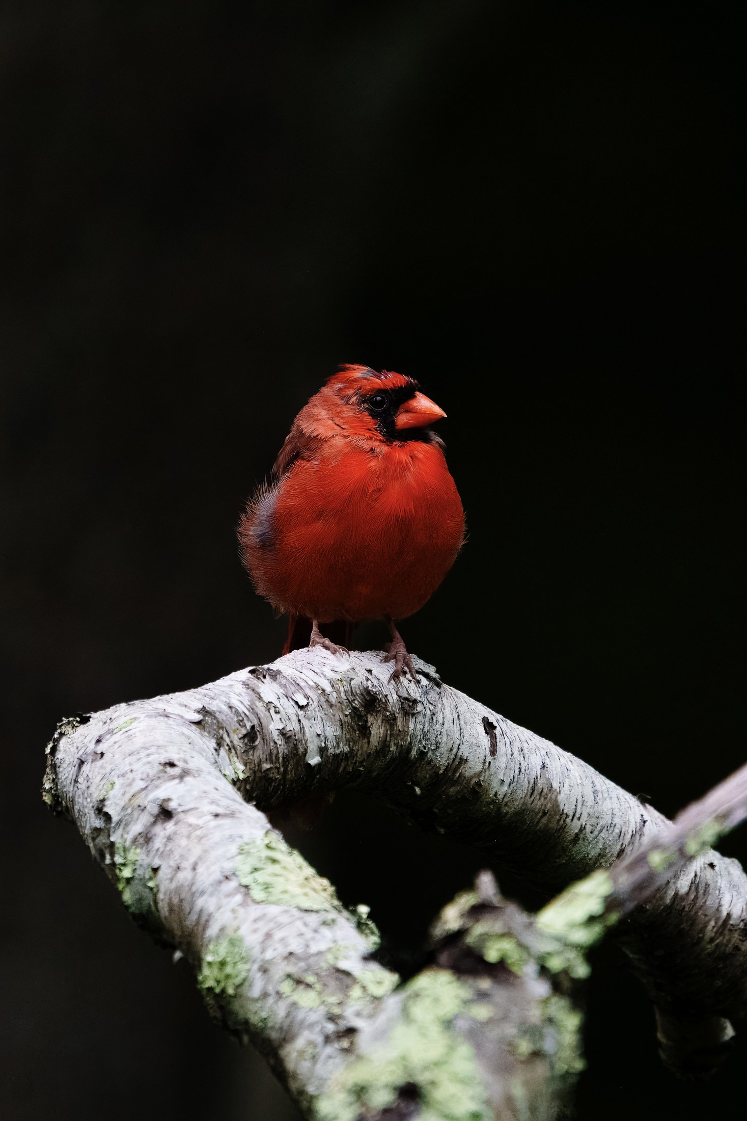Photograph 65 by Goldenberg Photos