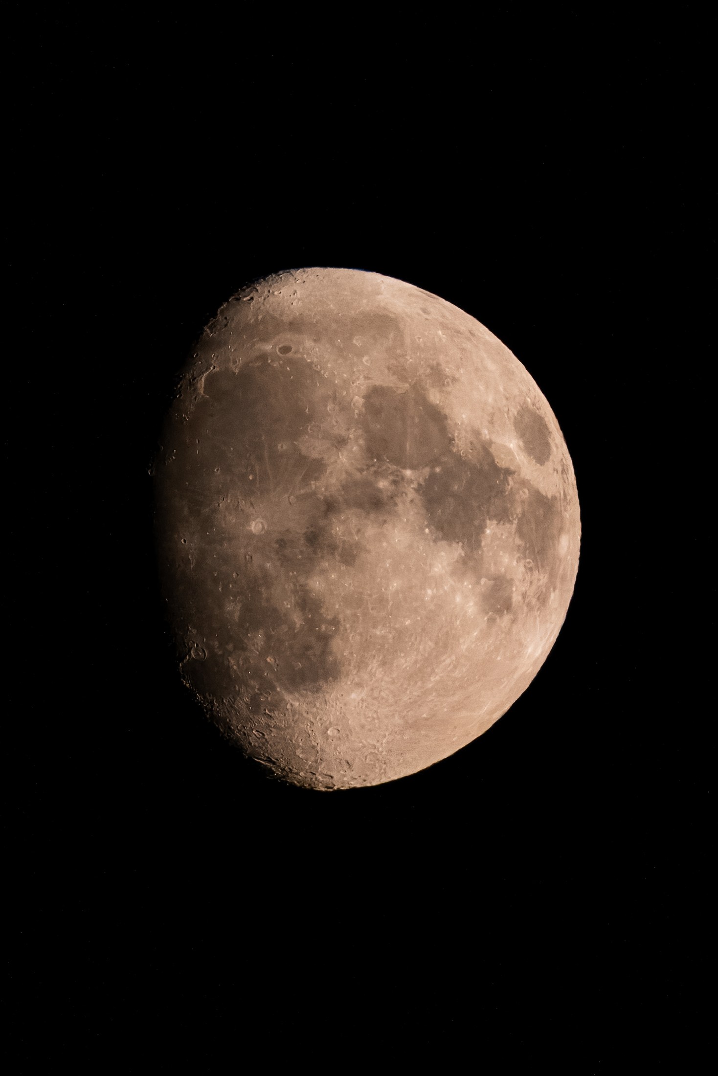 Photograph 68 by Goldenberg Photos